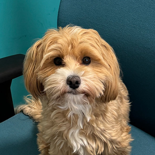 Litty (Assistenz der Pflegedienstleitung)